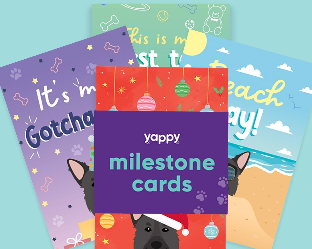 pet Milestone cards personalised for your dog
