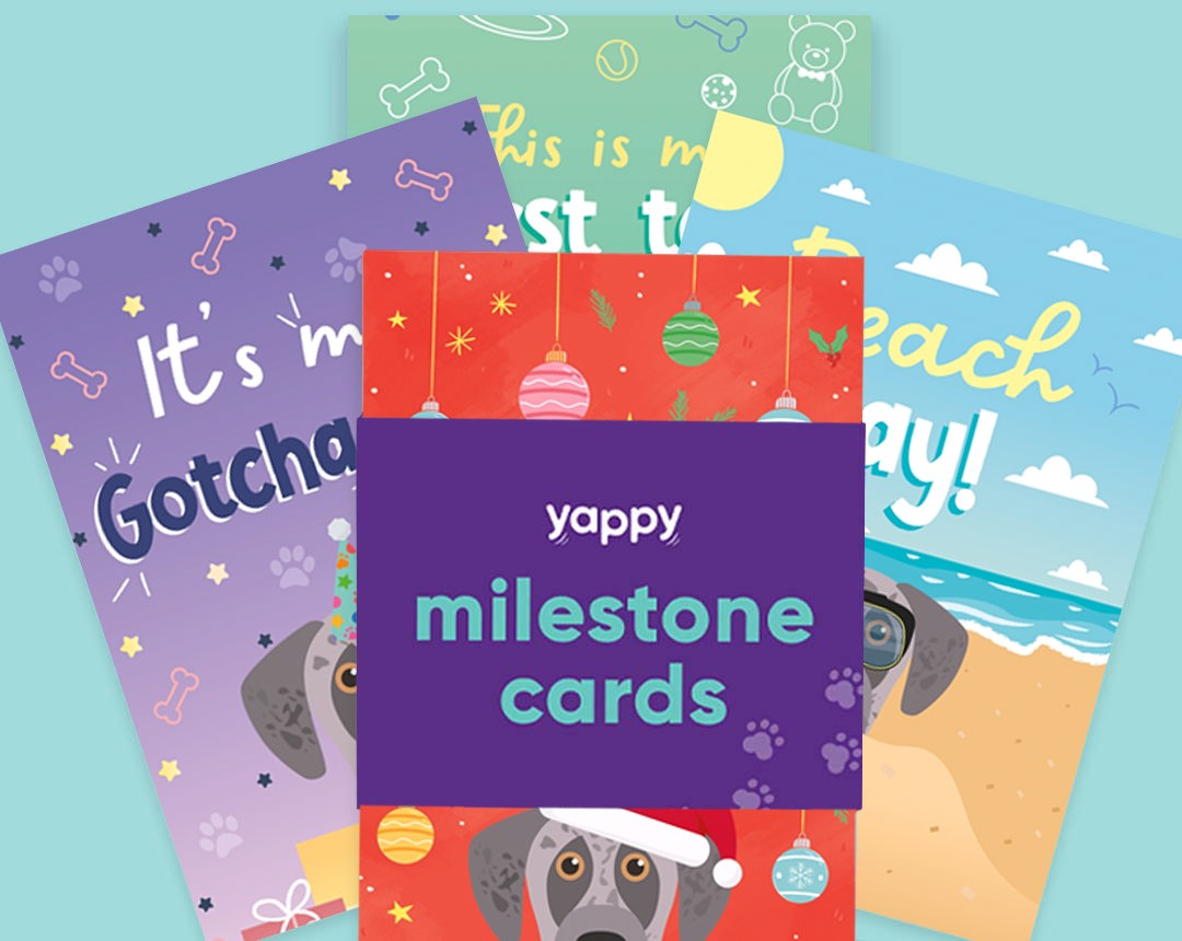 Milestone Cards personalised for your dog