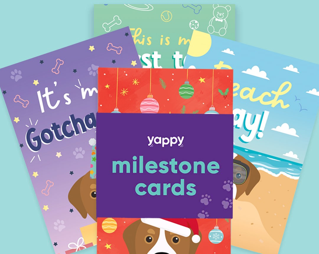 pet Milestone cards personalised for your dog