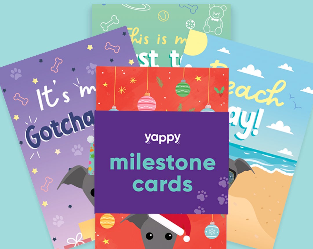 pet Milestone cards personalised for your dog