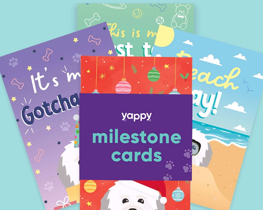 pet Milestone cards personalised for your dog