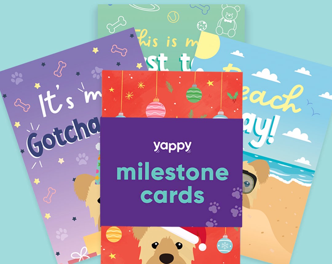 Milestone Cards personalised for your dog