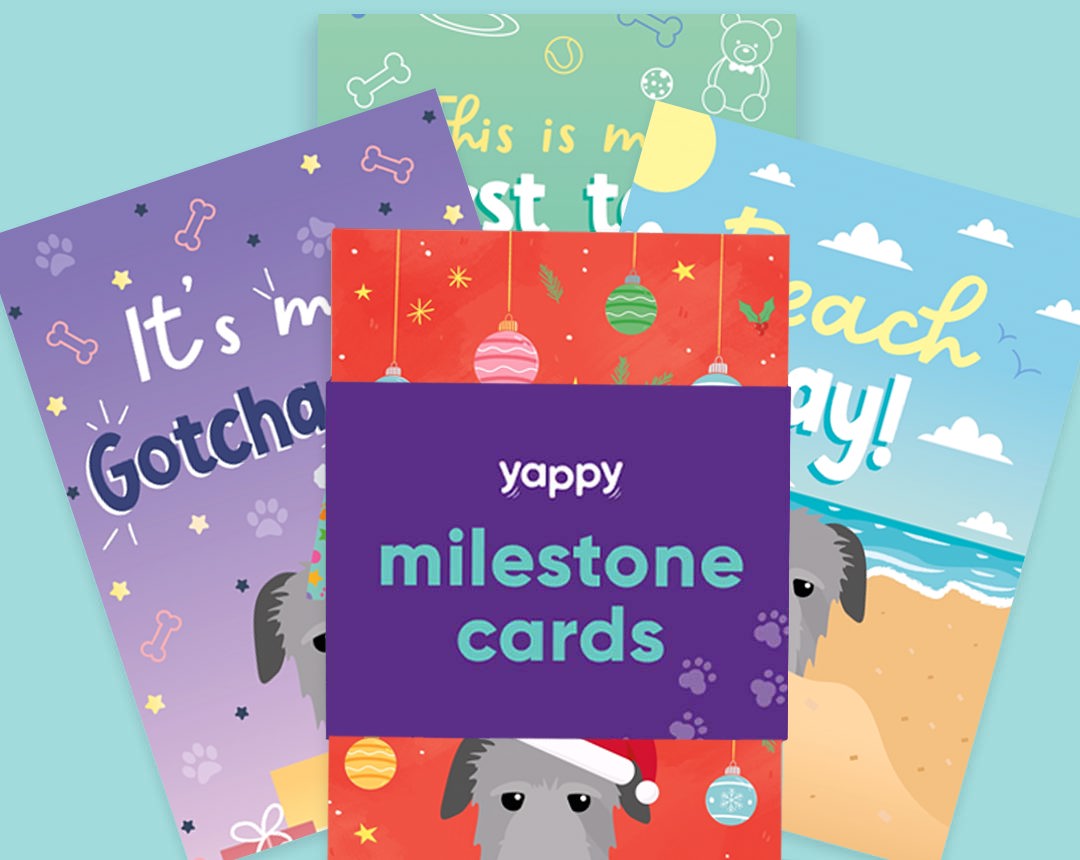 pet Milestone cards personalised for your dog