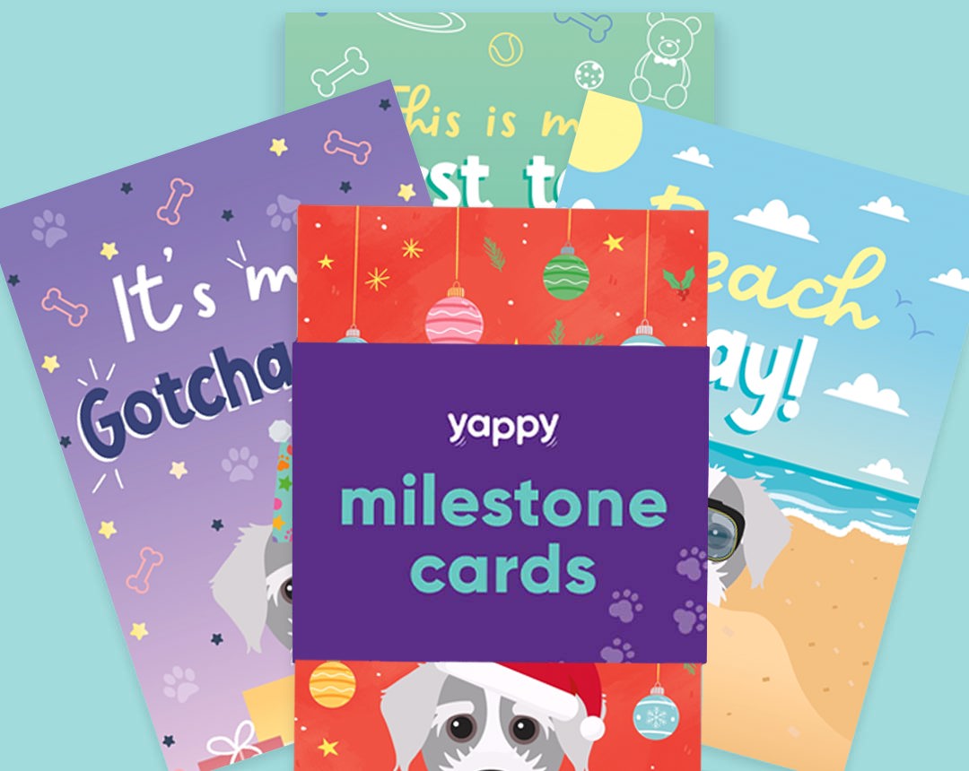 pet Milestone cards personalised for your dog