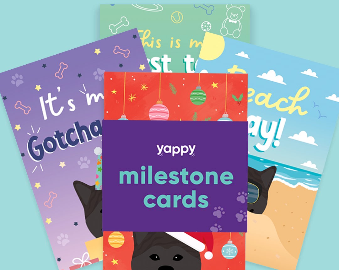 pet Milestone cards personalised for your dog