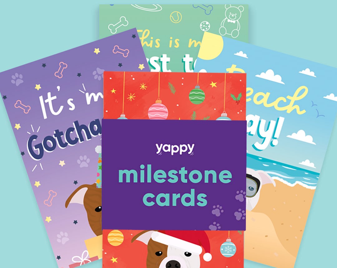 Pet milestone cards personalised for your dog