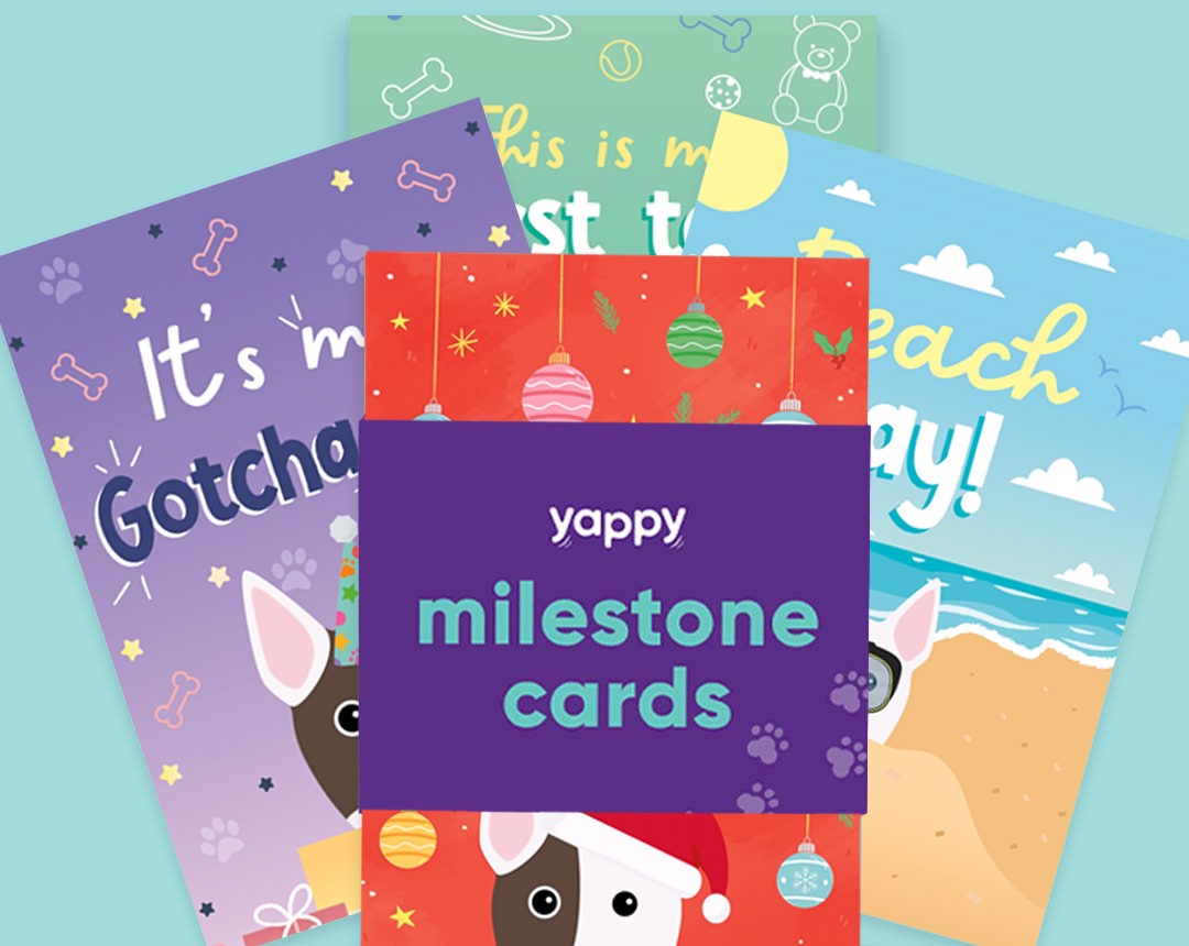 Pet milestone cards personalised for your dog