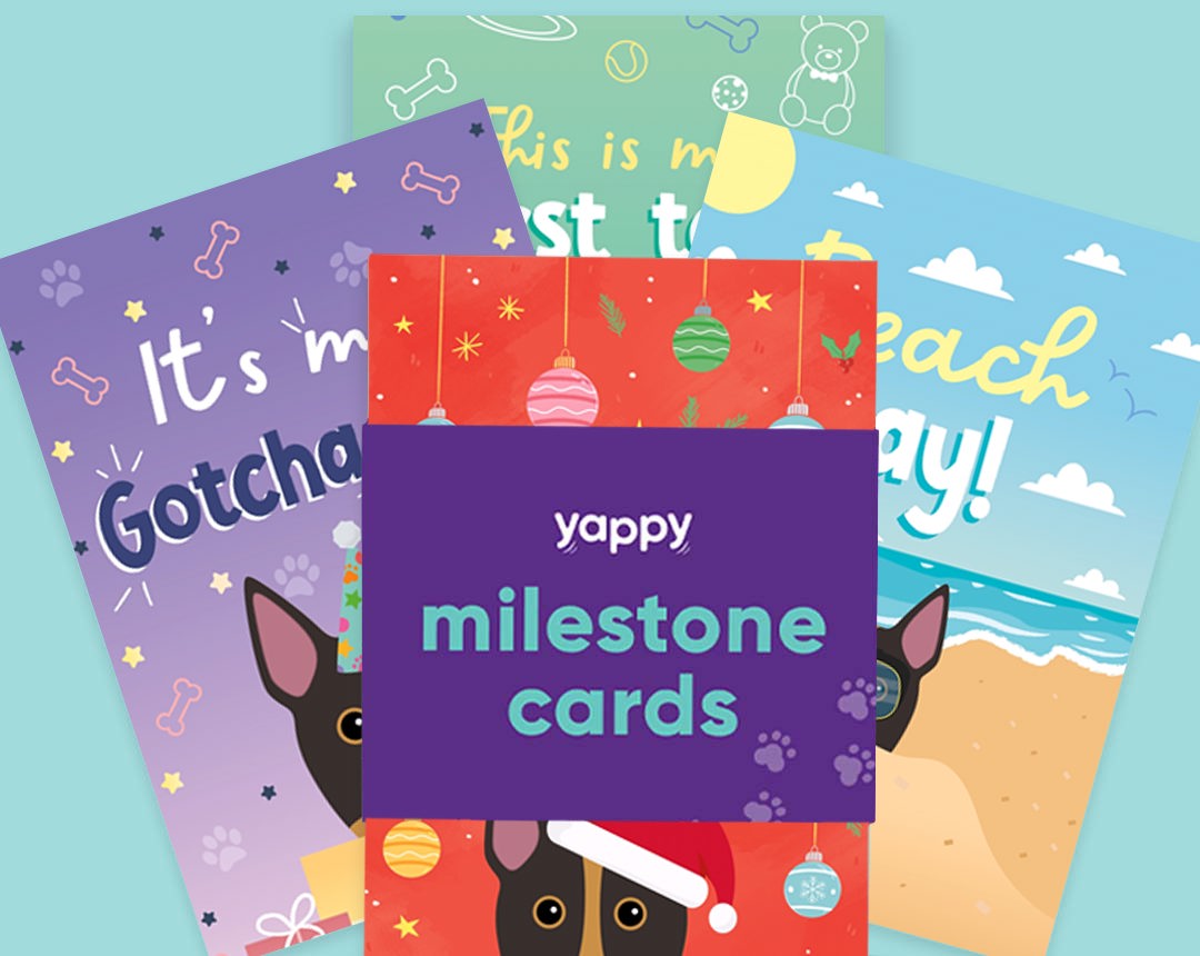 pet Milestone cards personalised for your dog