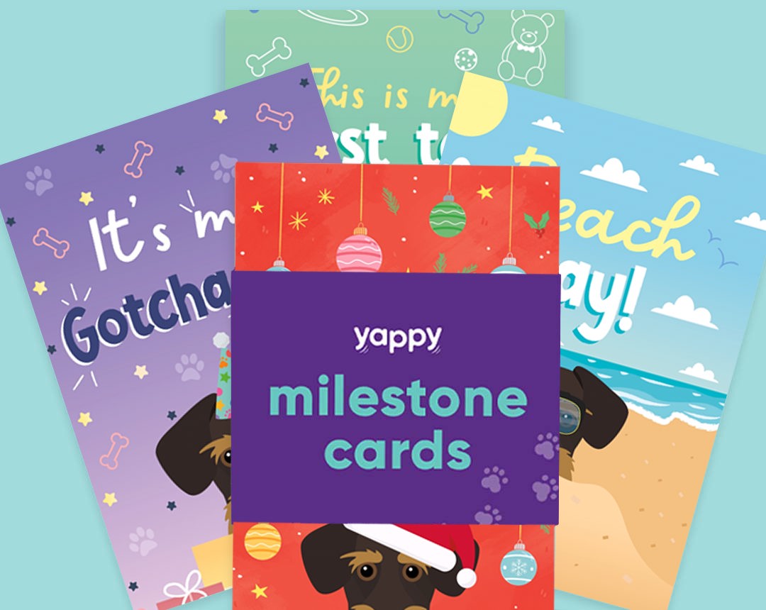 pet Milestone cards personalised for your dog