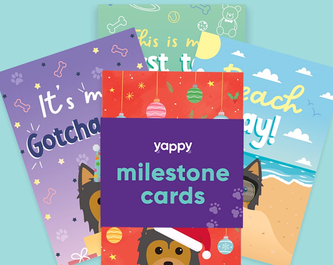 pet Milestone cards personalised for your dog