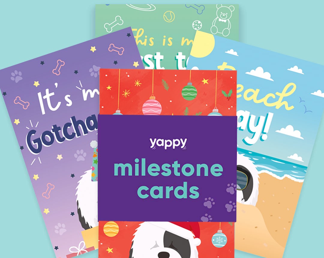 pet Milestone cards personalised for your dog