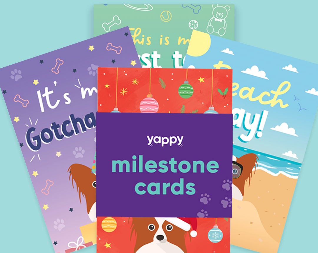 pet Milestone cards personalised for your dog