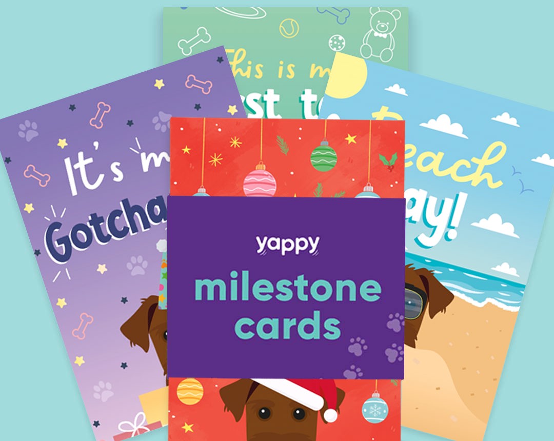 Pet milestone cards personalised for your dog