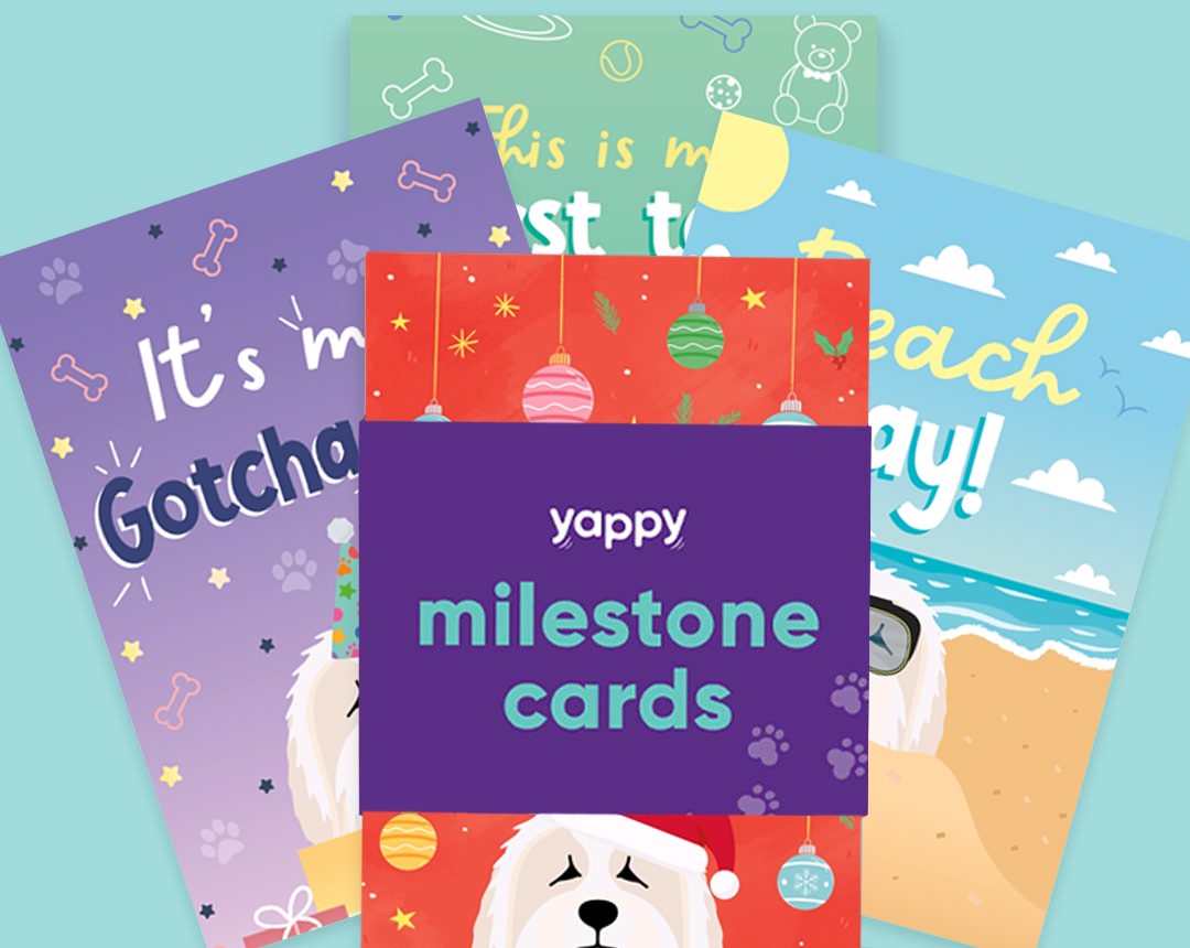 Milestone Cards personalised for your dog