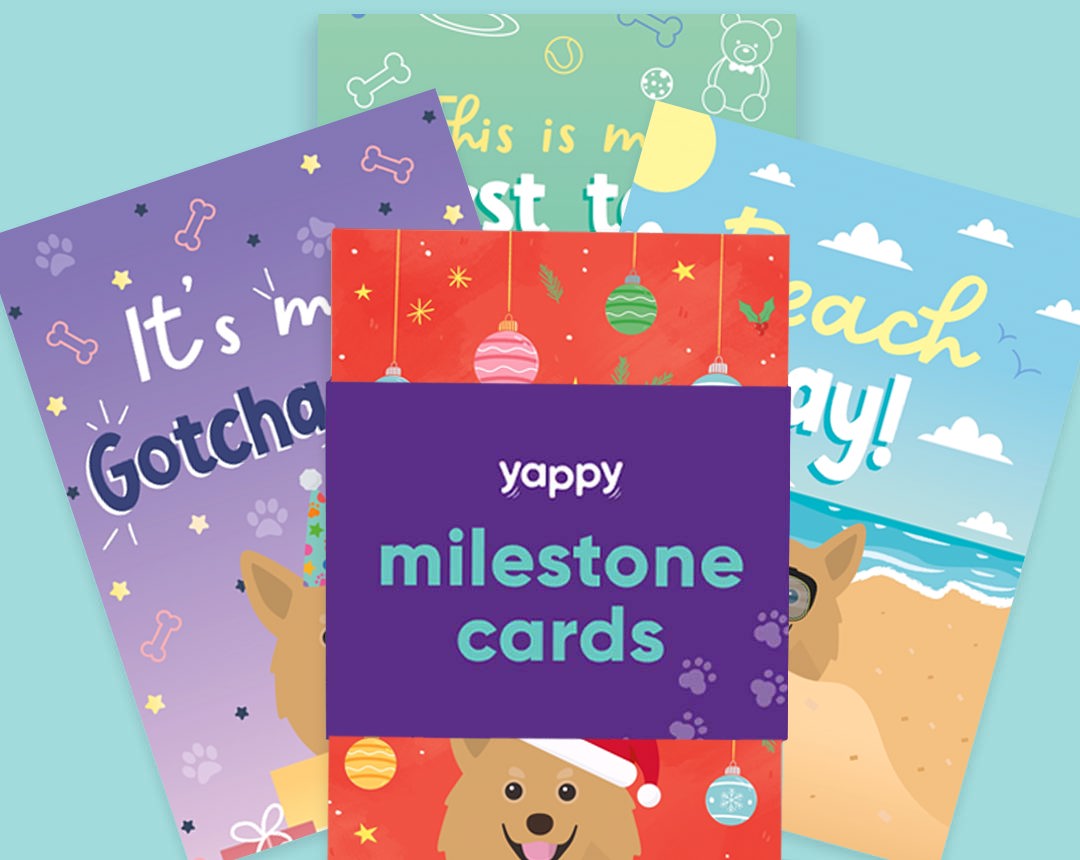 Milestone Cards personalised for your dog