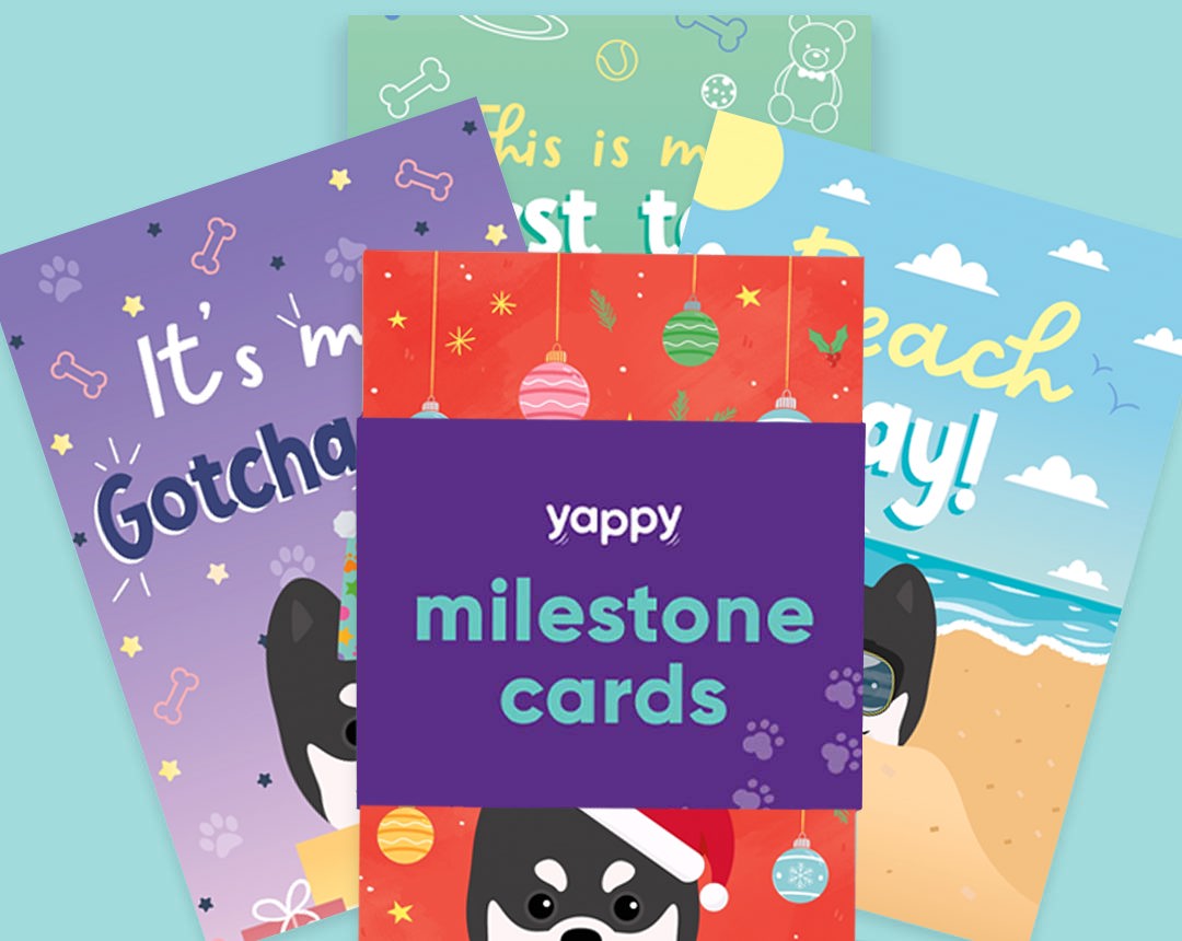 pet Milestone cards personalised for your dog