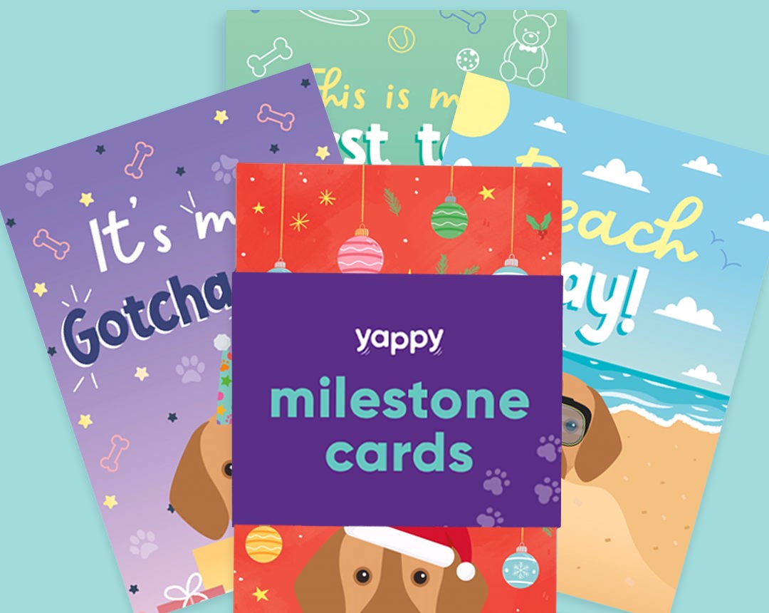 pet Milestone cards personalised for your dog