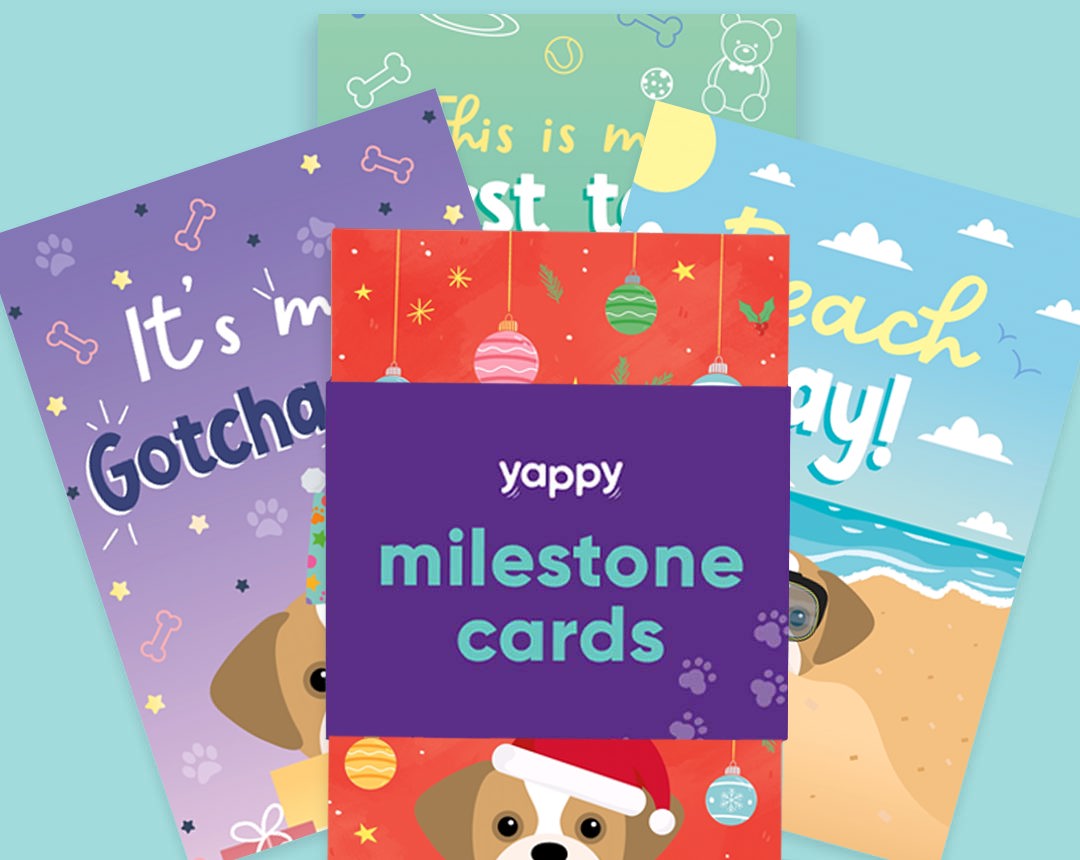 pet Milestone cards personalised for your dog