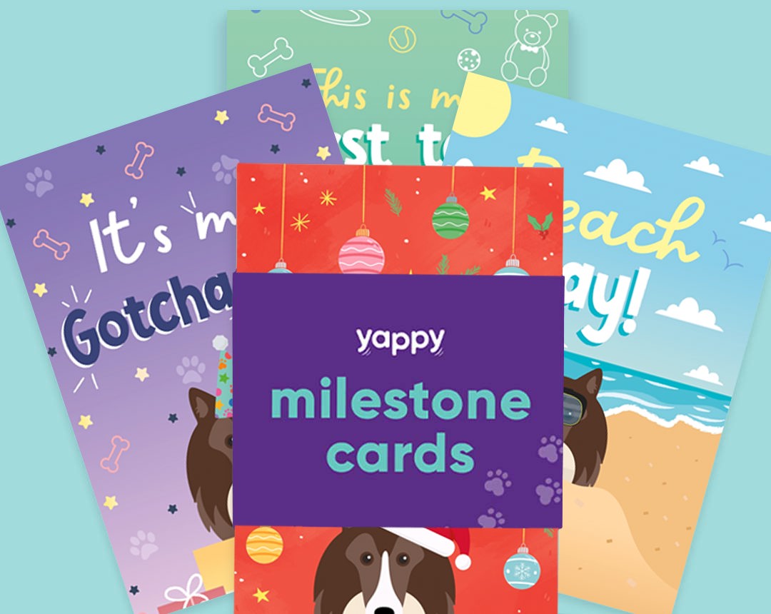 pet Milestone cards personalised for your dog