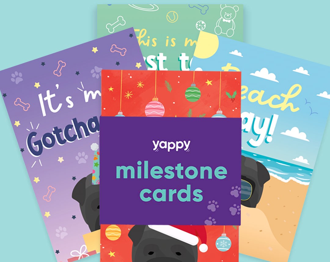 Pet milestone cards personalised for your dog