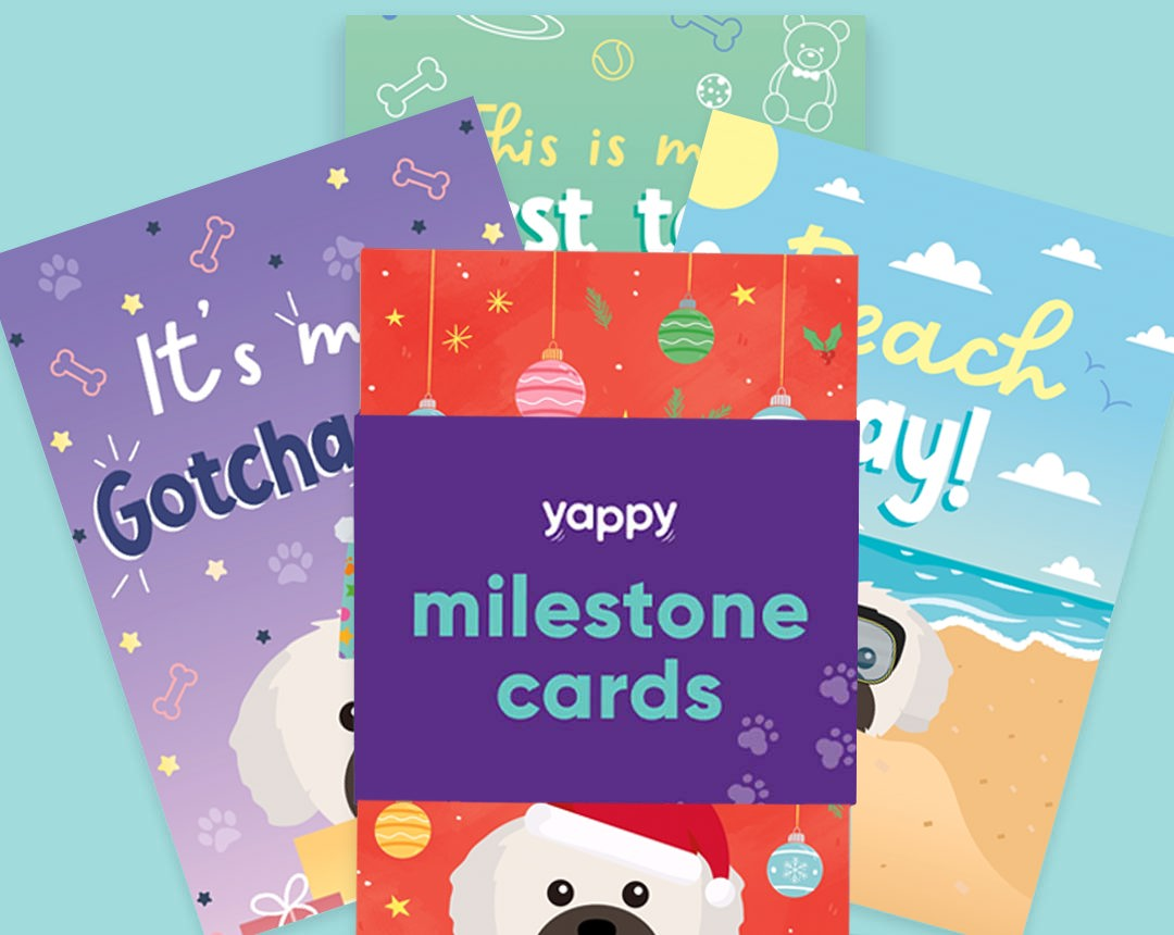 Pet milestone cards personalised for your dog