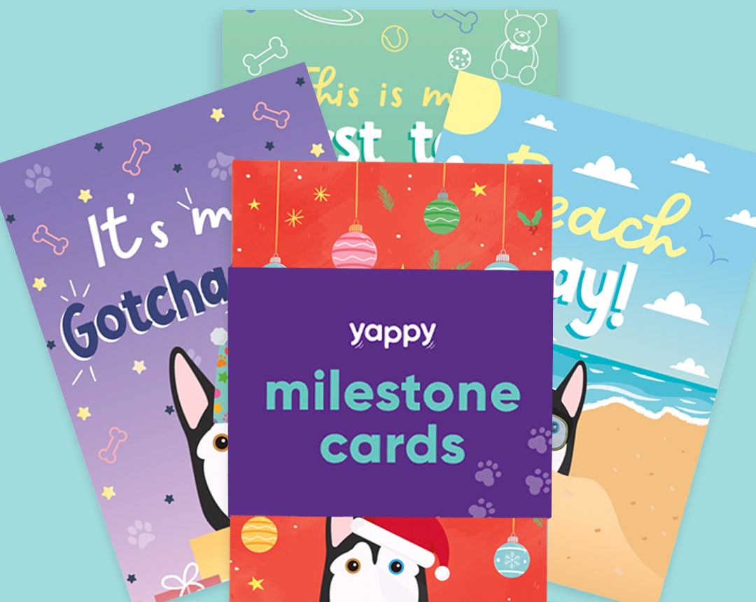 pet Milestone cards personalised for your dog