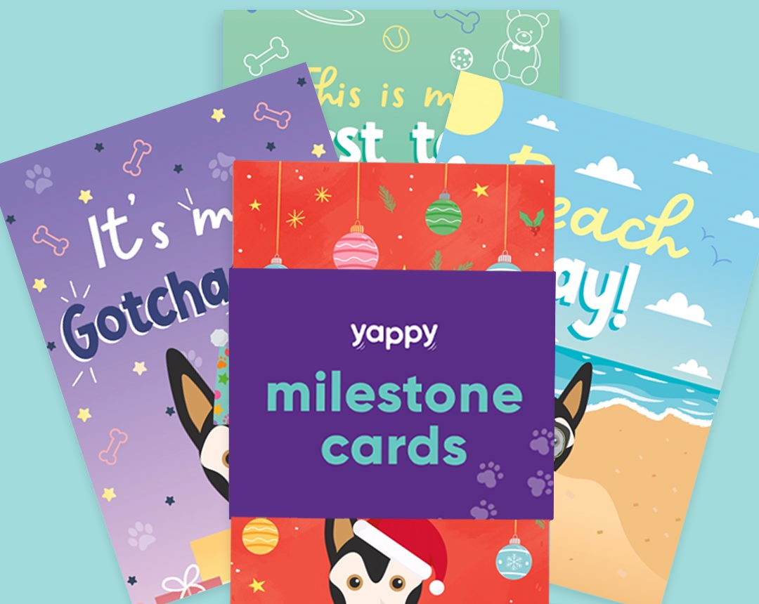 pet Milestone cards personalised for your dog