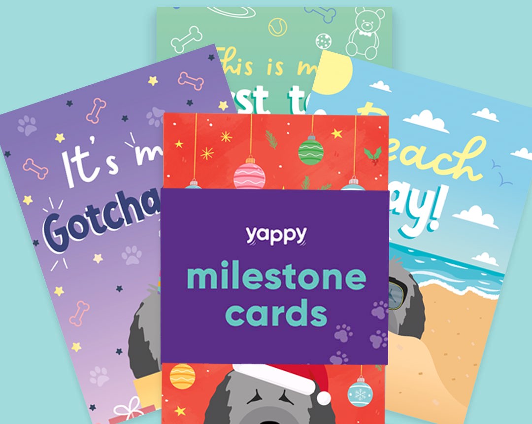 Milestone Cards personalised for your dog