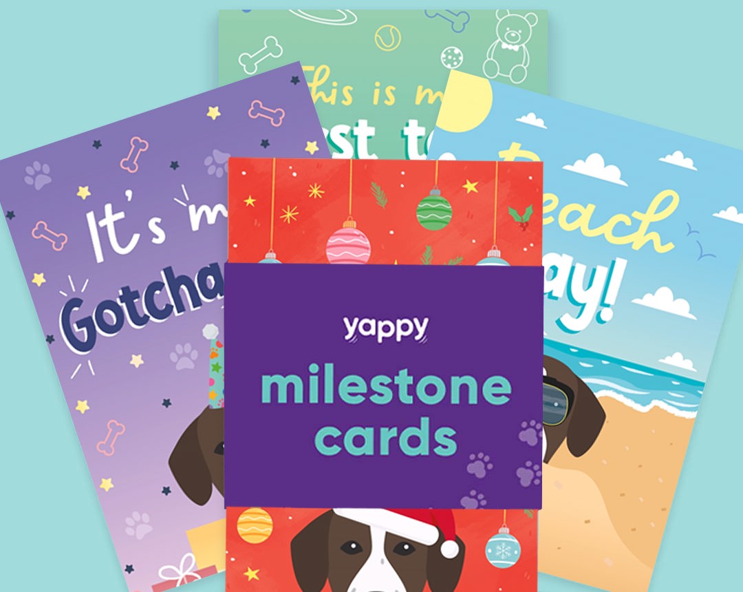 pet Milestone cards personalised for your dog