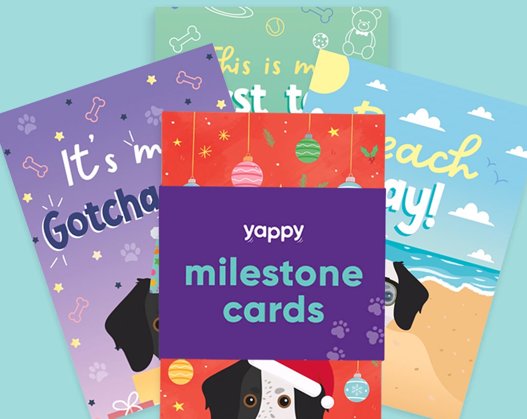 pet Milestone cards personalised for your dog