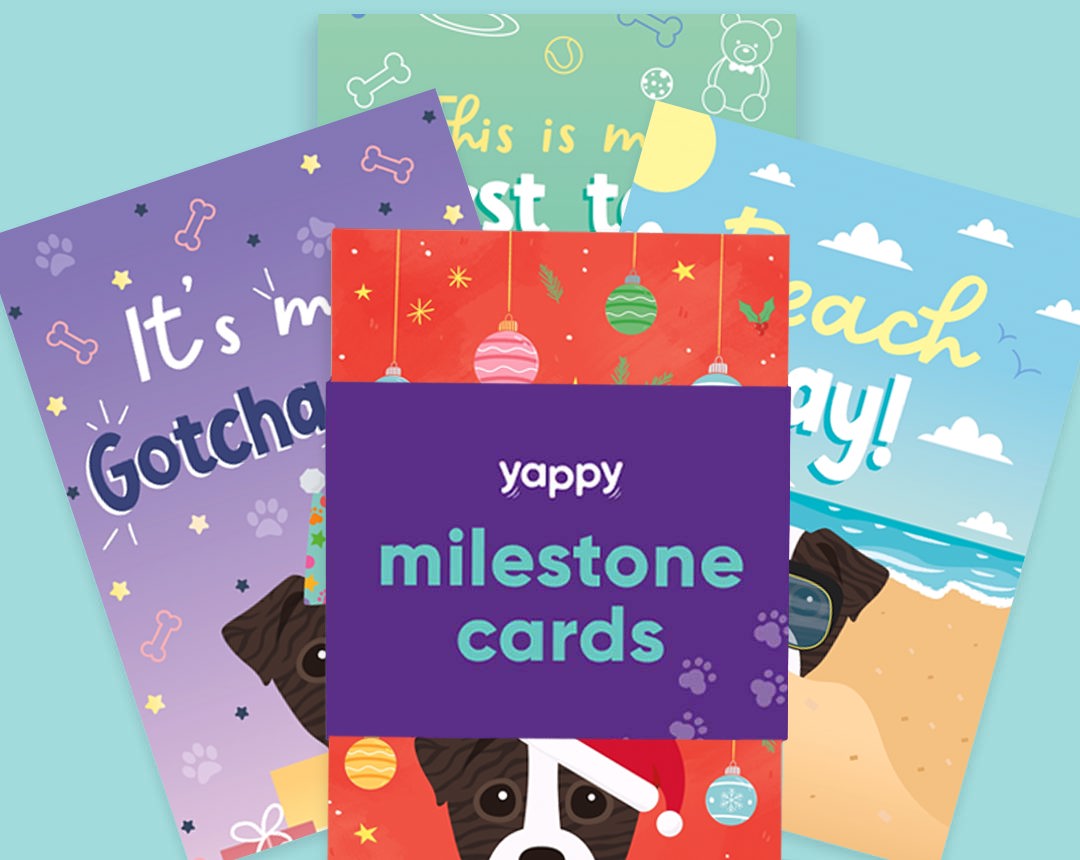 pet Milestone cards personalised for your dog