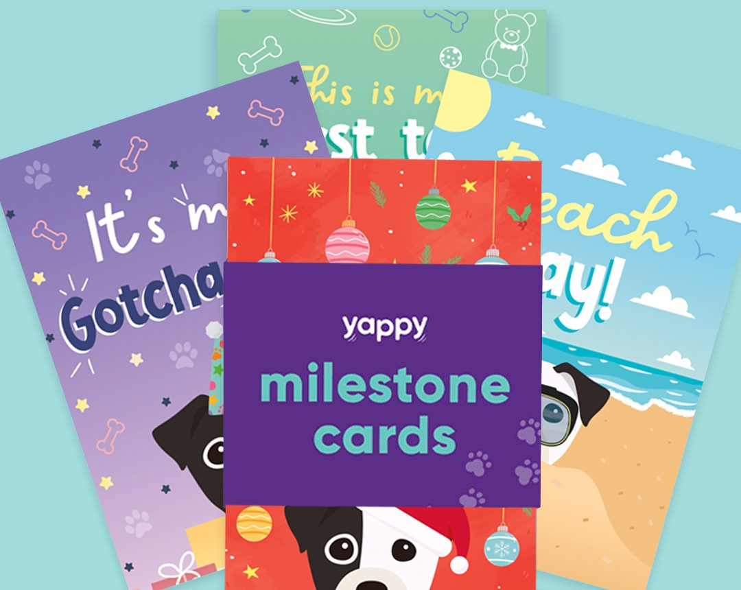 Pet milestone cards personalised for your dog
