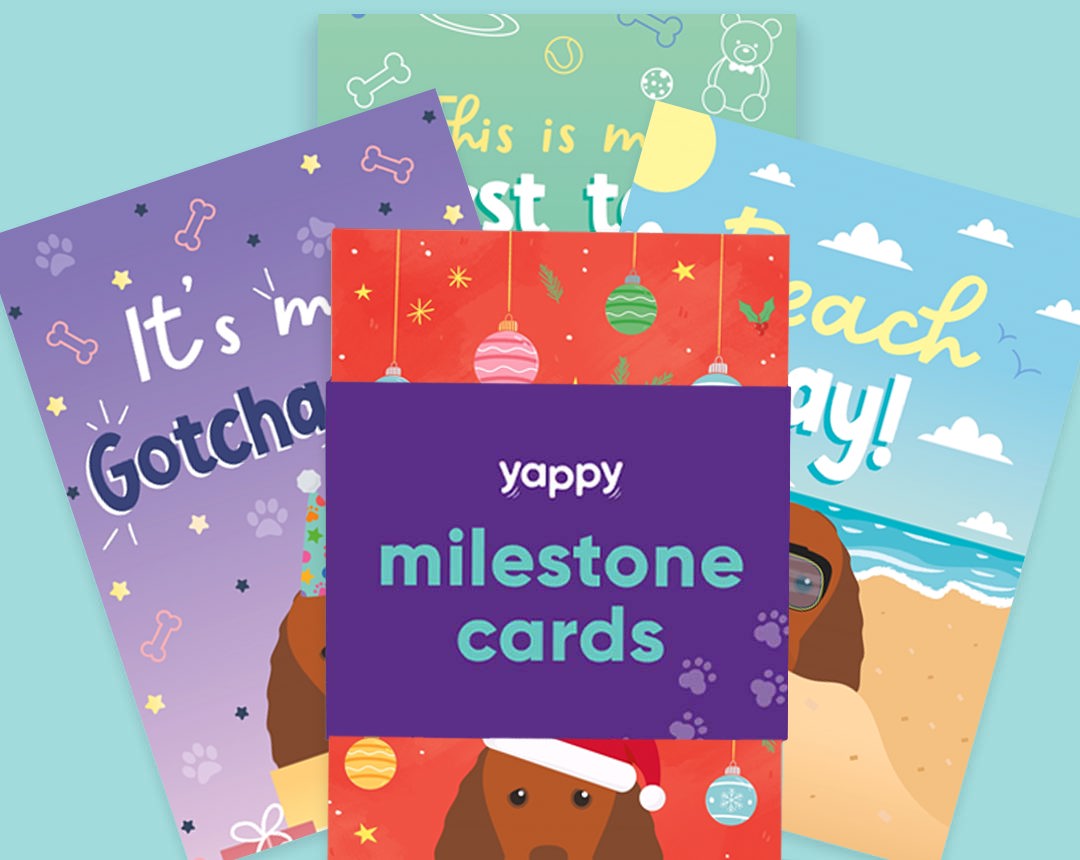 Pet milestone cards personalised for your dog