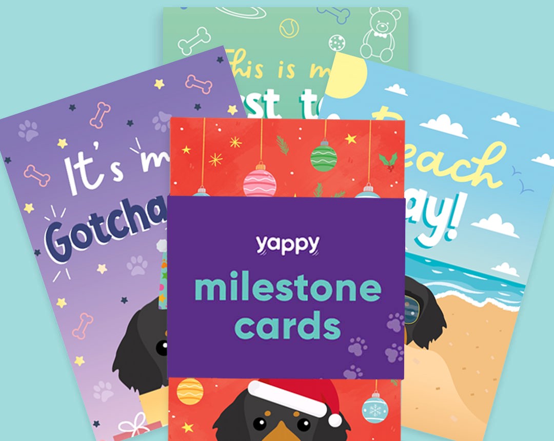 pet Milestone cards personalised for your dog