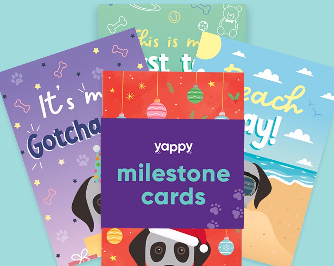 pet Milestone cards personalised for your dog