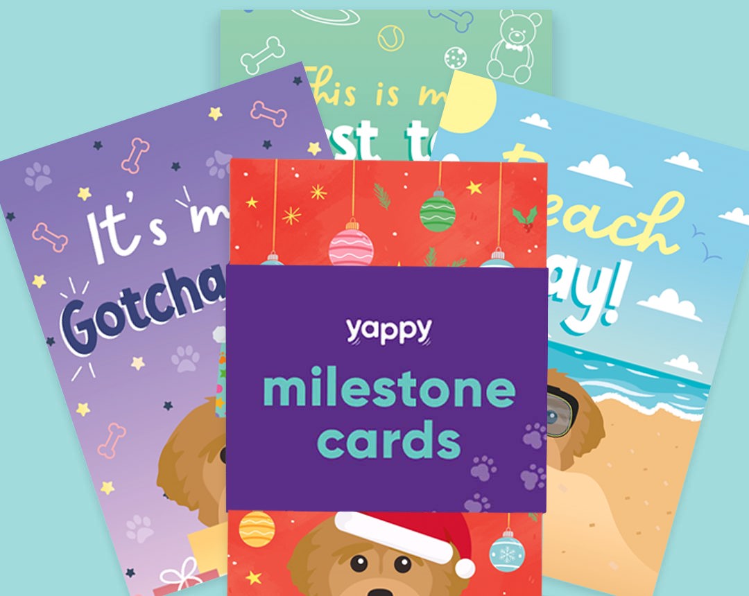 pet Milestone cards personalised for your dog