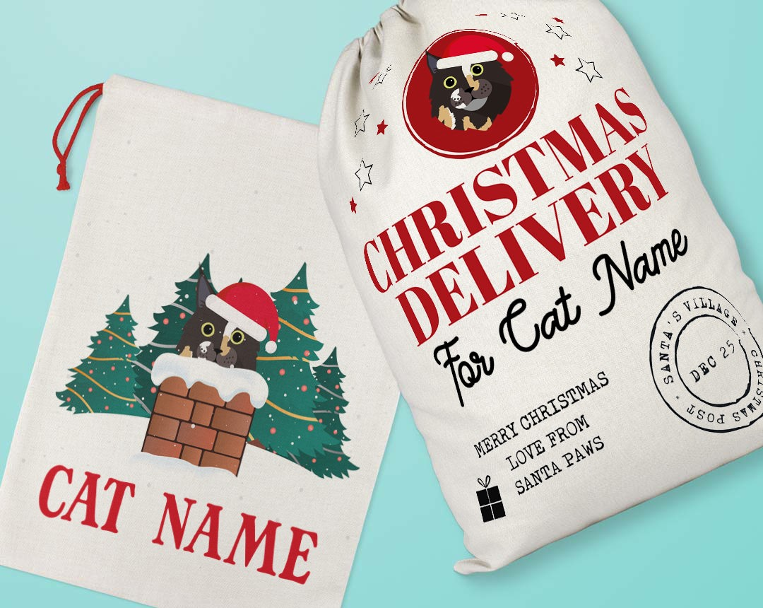 Personalized Santa Sacks for your Cat