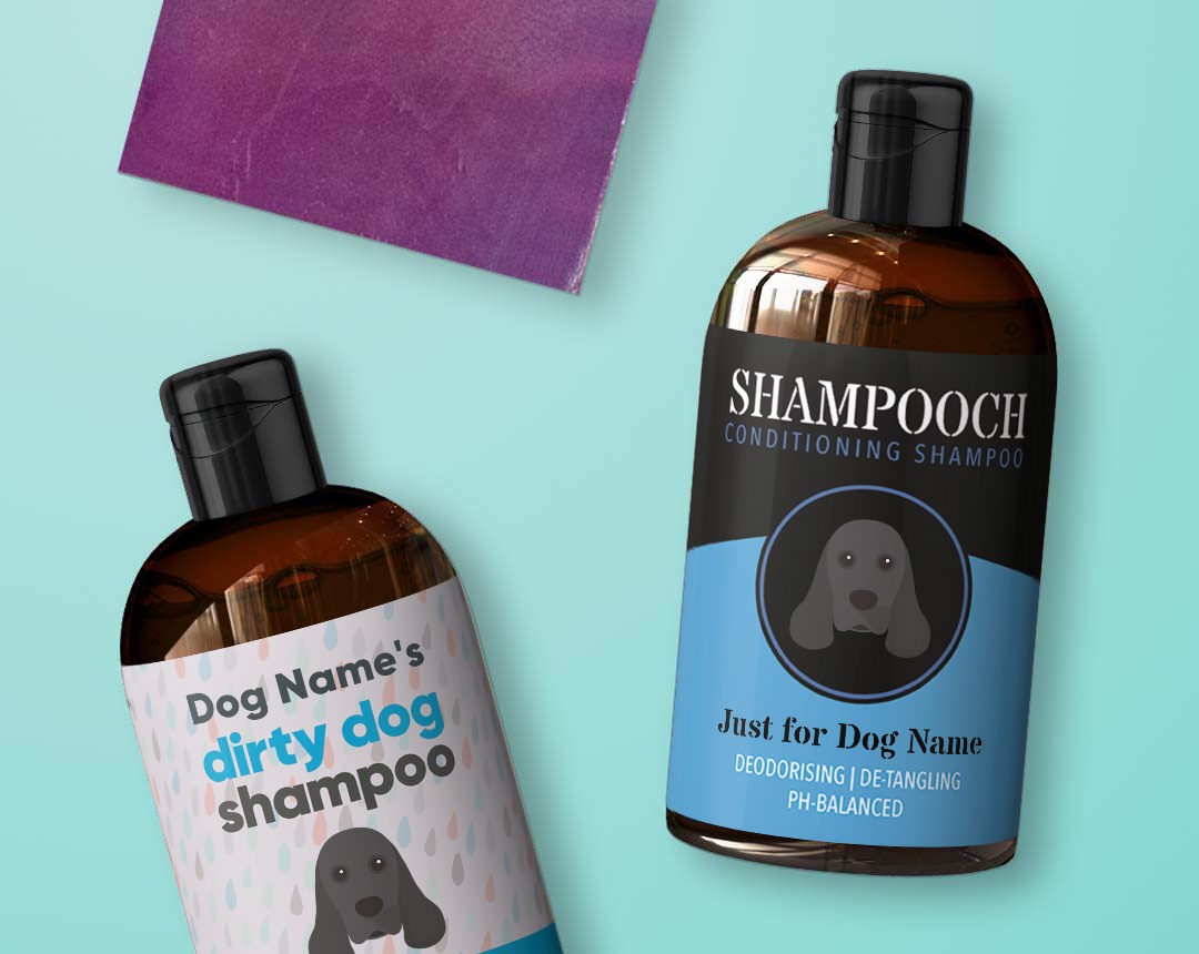 Shampoo & Grooming