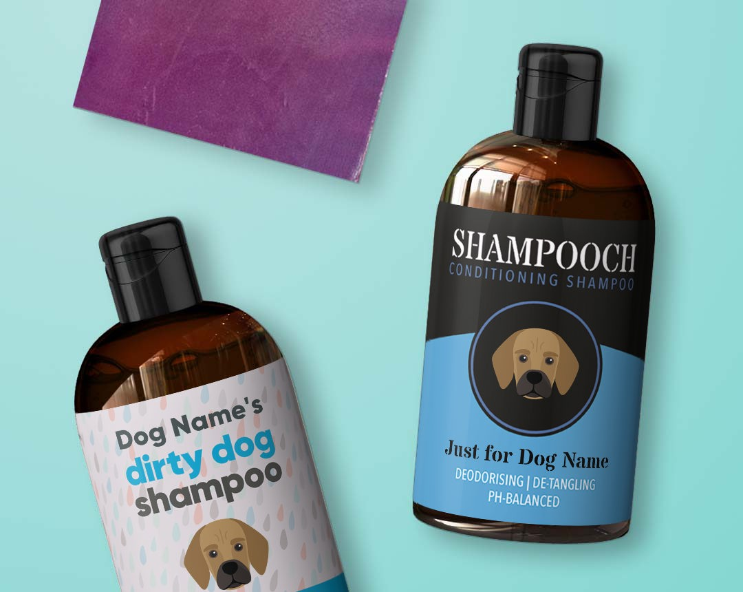 Shampoo & Grooming