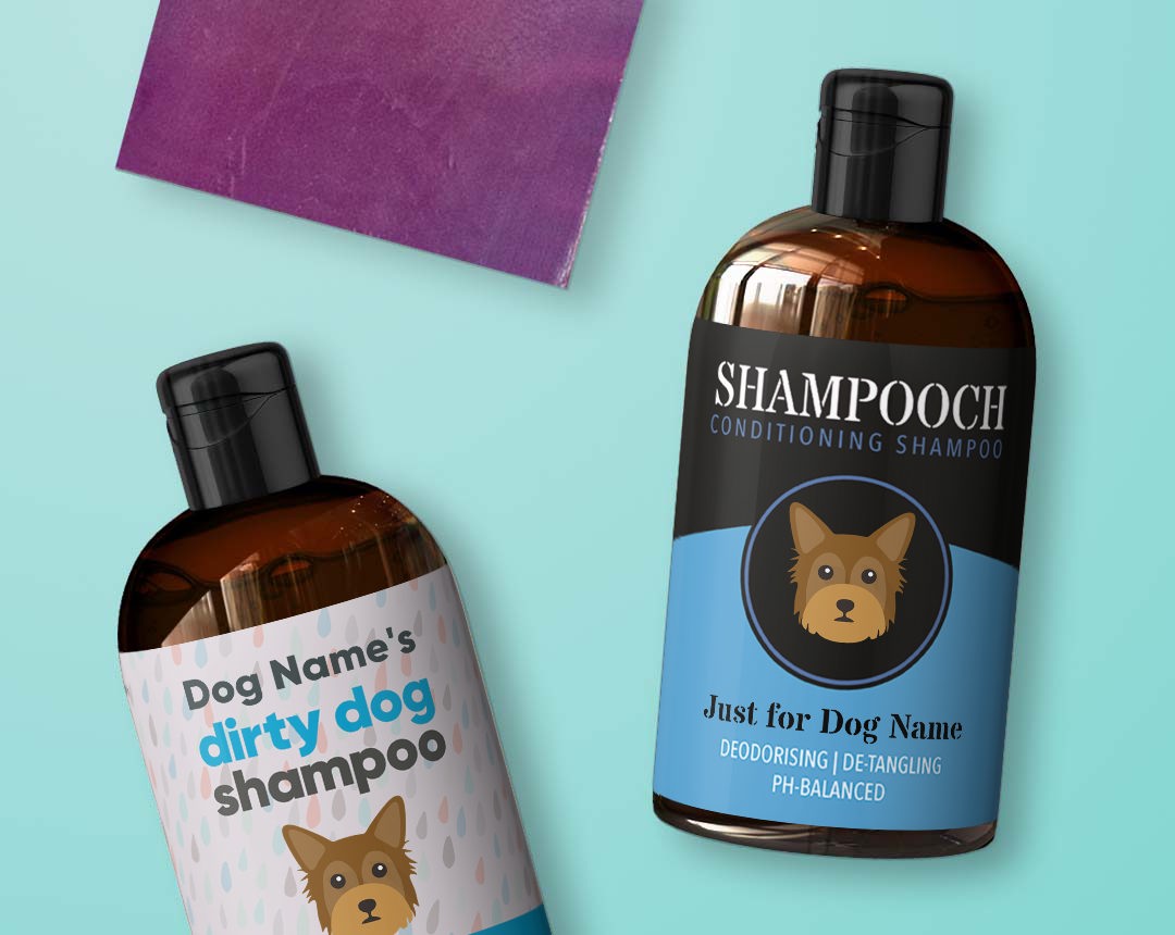 Shampoo & Grooming