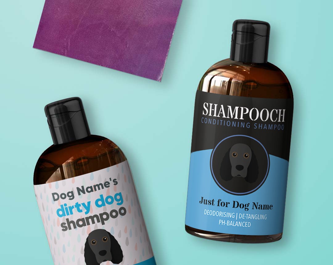 Shampoo & Grooming