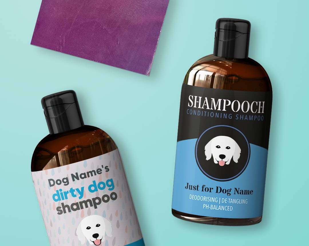 Shampoo & Grooming